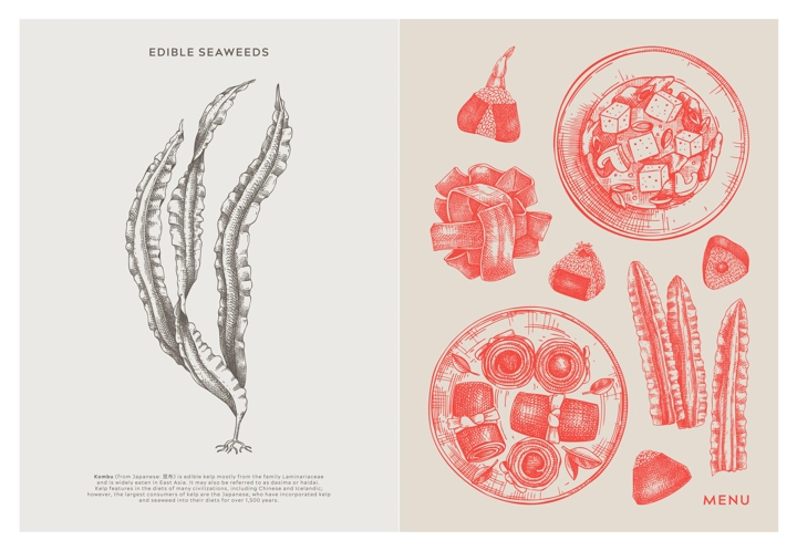 Asian food background. Kombu, laminaria, edible seaweeds, sea vegetable, kelp, healthy food sketches. Hand drawn seafood restaurant menu design template. Engraved vector illustrations in vintage style